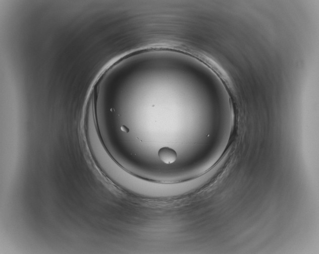 X0000112800948200908211131