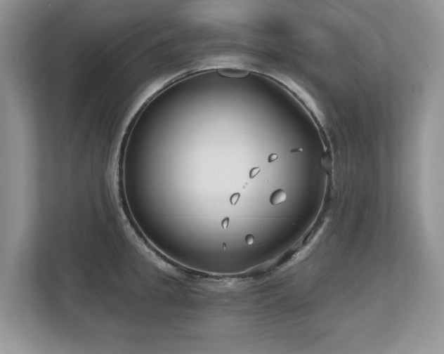 X0000112800949200908211131