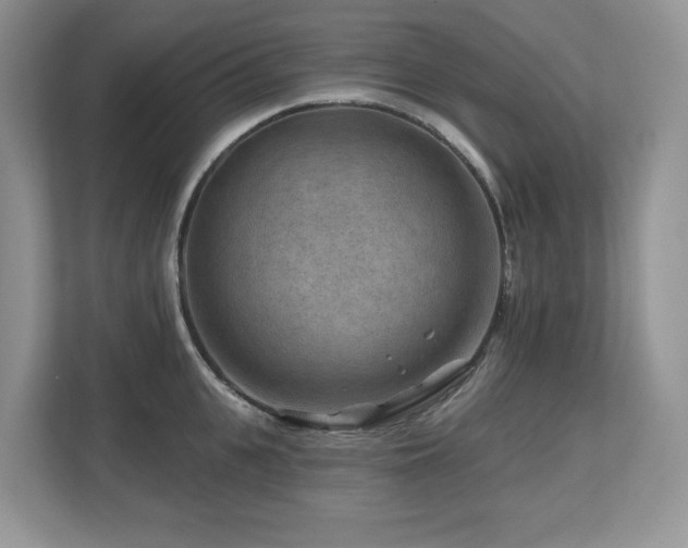 X0000112800951200908211131