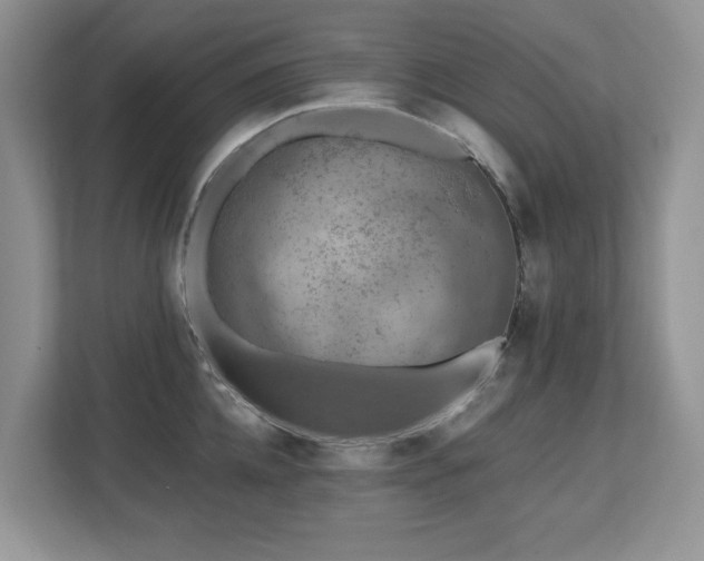 X0000112800952200908211131