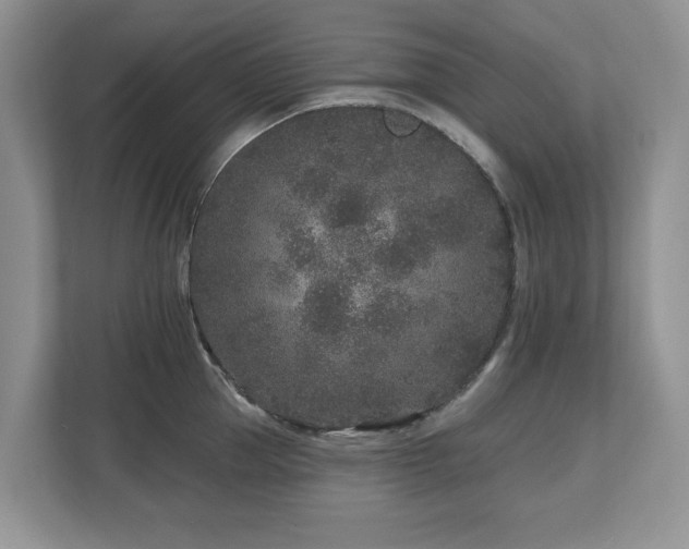 X0000112800953200908211131