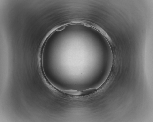 X0000112800955200908211131