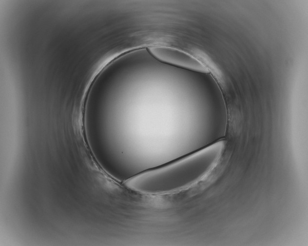 X0000112800956200908211131