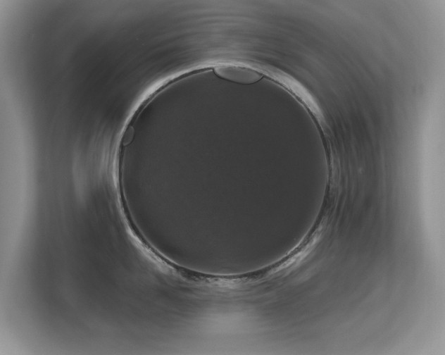 X0000112800958200908211131