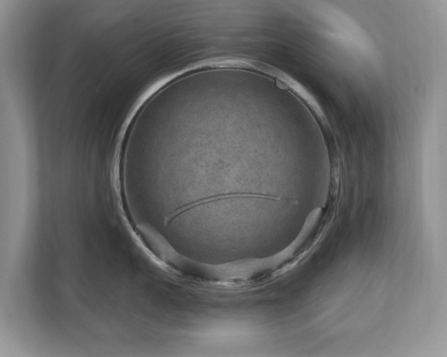 X0000112800959200908211131