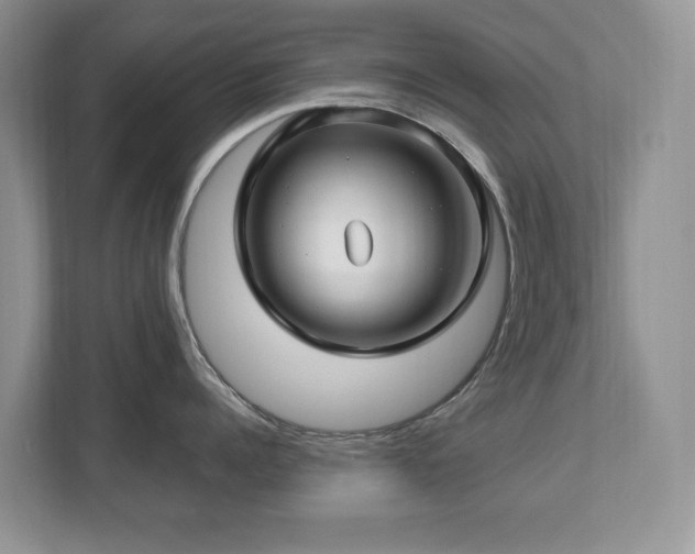 X0000112800960200908211131