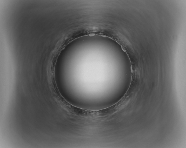 X0000112800961200908211130