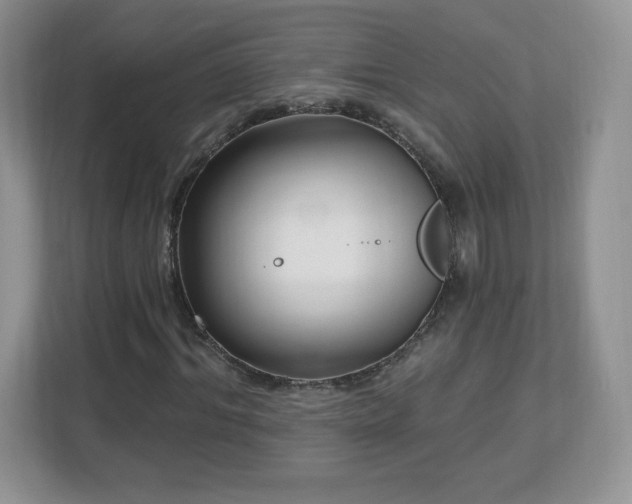 X0000112800964200908211130