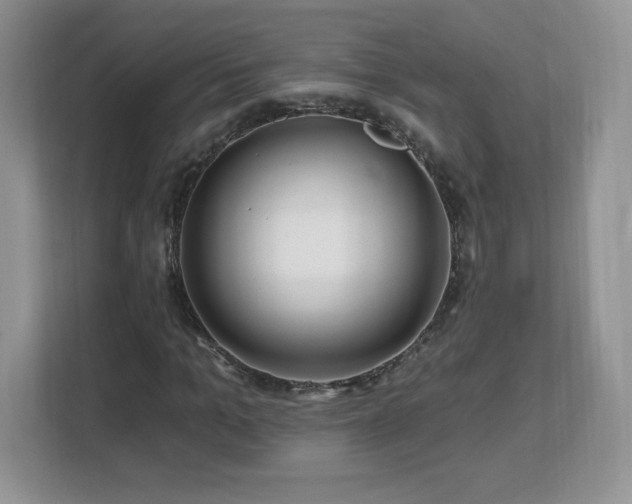 X0000112800965200908211130