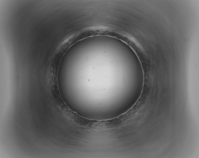 X0000112800967200908211130