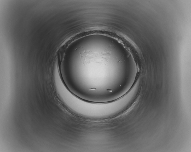 X0000112800969200908211130
