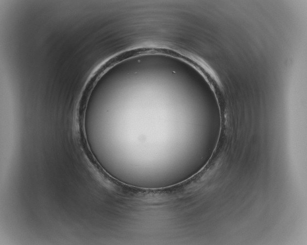 X0000112800972200908211130