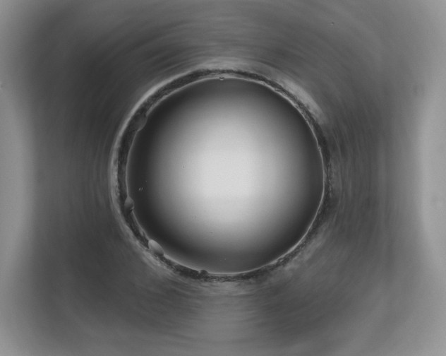 X0000112800976200908211130
