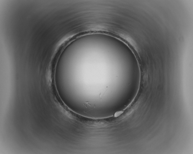 X0000112800979200908211130