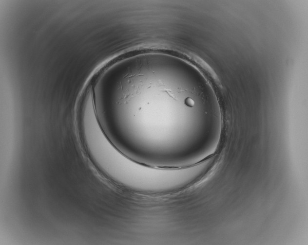 X0000112800981200908211130
