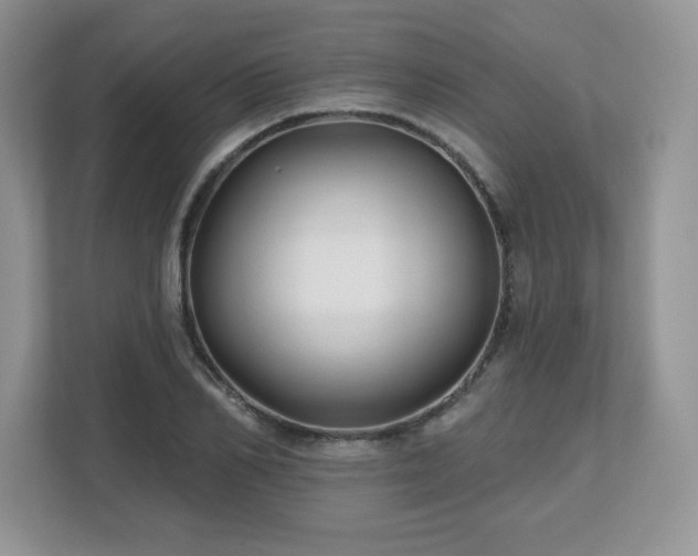 X0000112800982200908211130