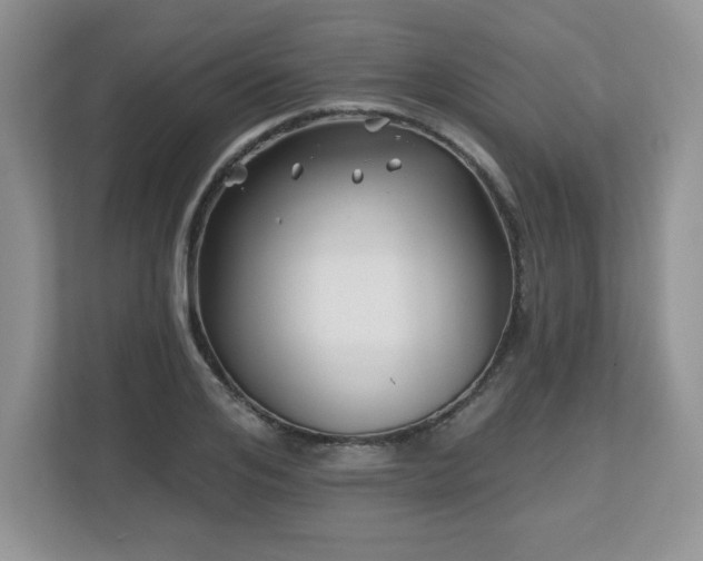 X0000112800984200908211130