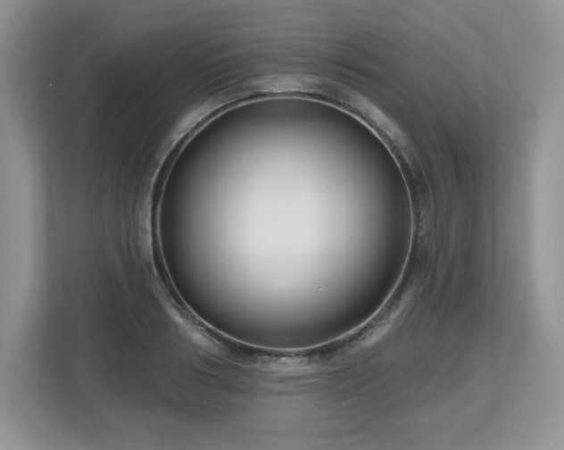 X0000112800986200908211130