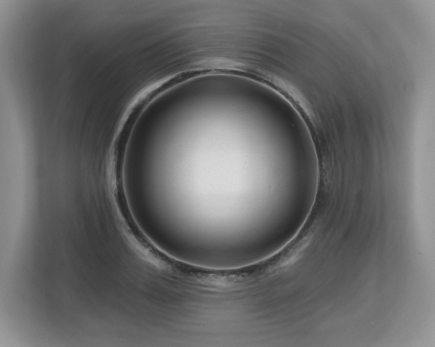 X0000112800987200908211130