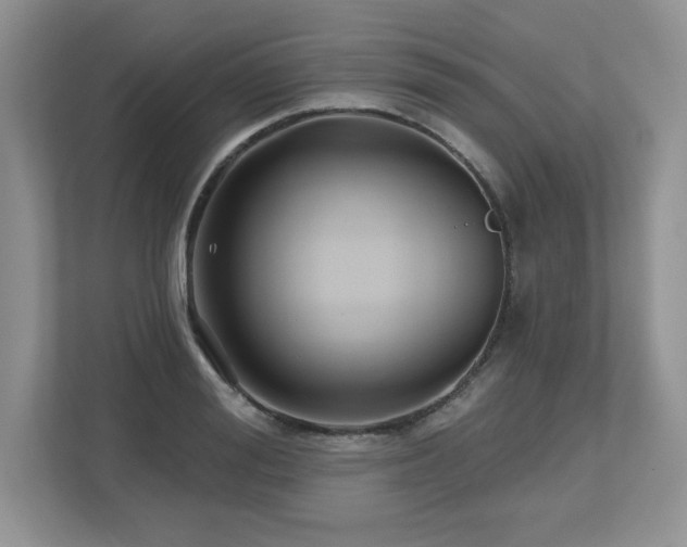 X0000112800988200908211130