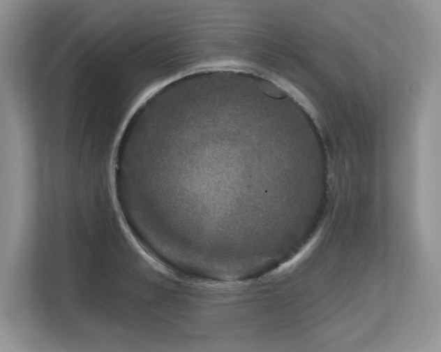 X0000112800989200908211130