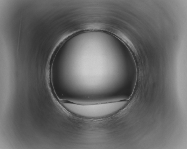 X0000112800992200908211130