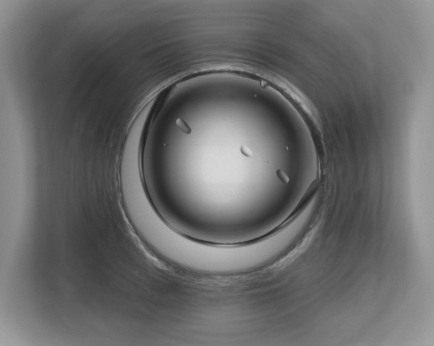 X0000112800993200908211130
