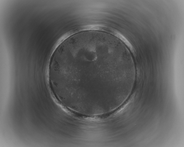 X0000112800994200908211130