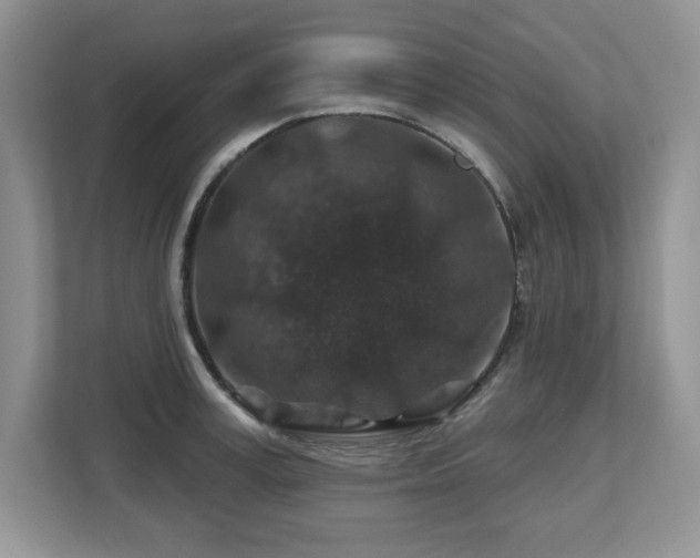 X0000112800995200908211130