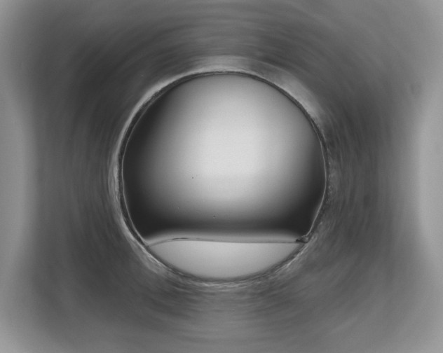 X0000112800996200908211130