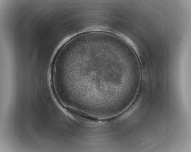 X0000112800997200908211130