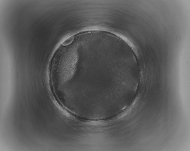 X0000112800998200908211130