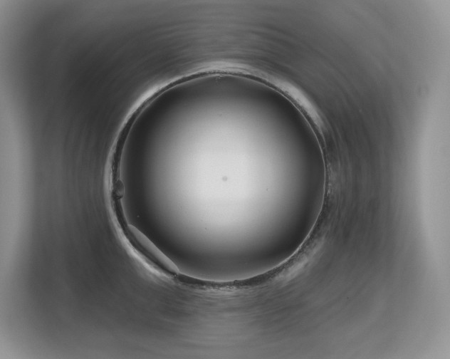X0000112800999200908211130