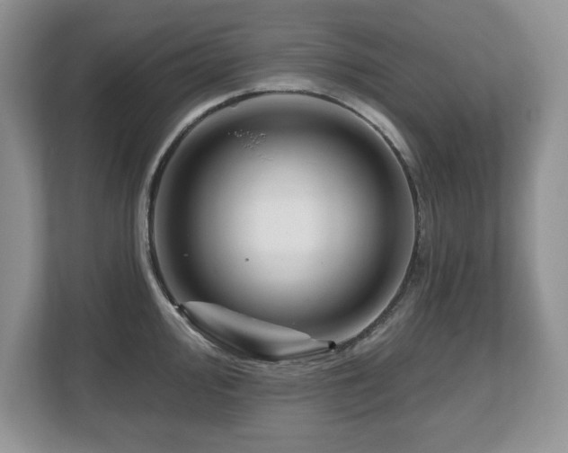 X0000112801000200908211130