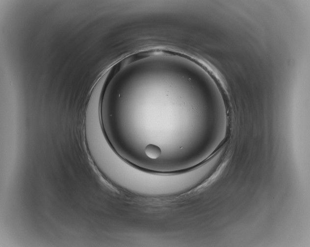 X0000112801001200908211130