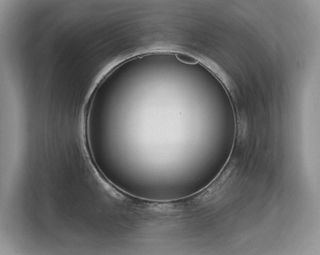 X0000112801006200908211130