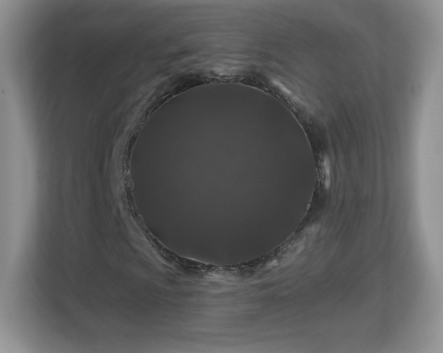 X0000112801009200908211129