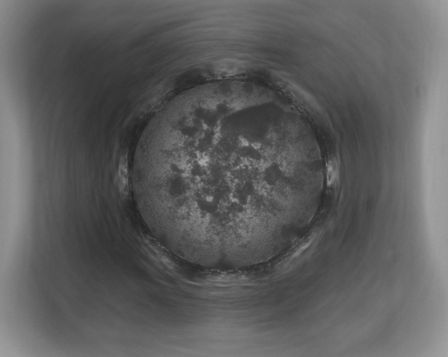 X0000112801011200908211129