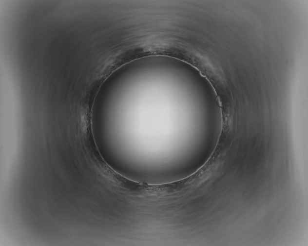 X0000112801012200908211129