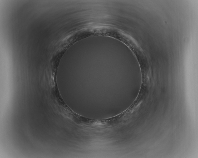 X0000112801013200908211129