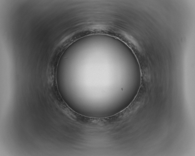 X0000112801015200908211129