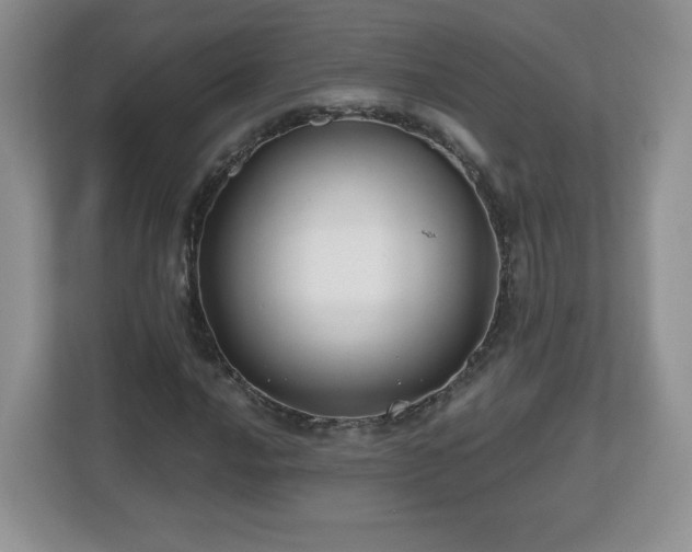 X0000112801016200908211129