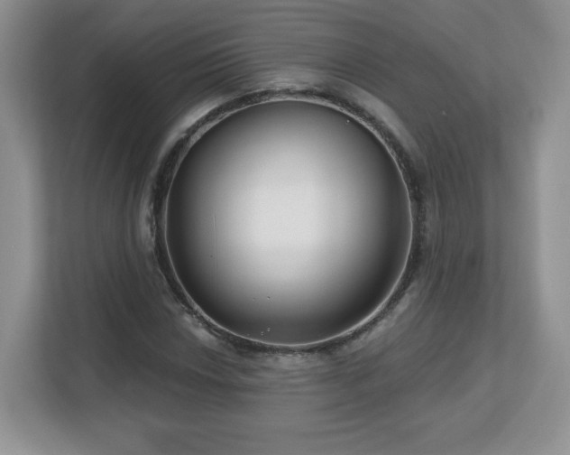 X0000112801018200908211129