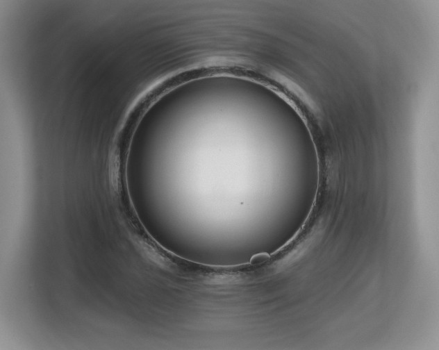 X0000112801021200908211129