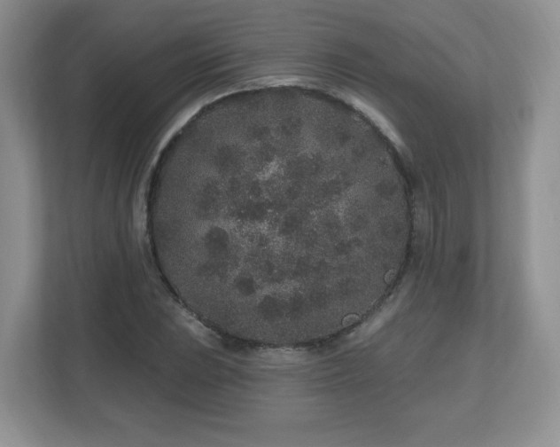 X0000112801023200908211129