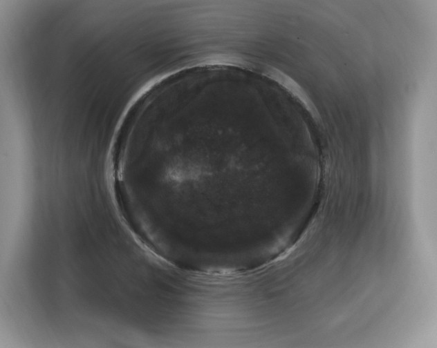 X0000112801024200908211129