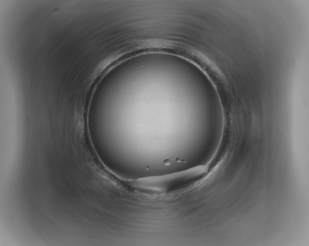X0000112801025200908211129