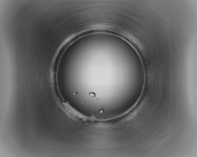 X0000112801029200908211129