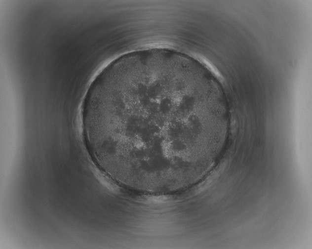 X0000112801031200908211129
