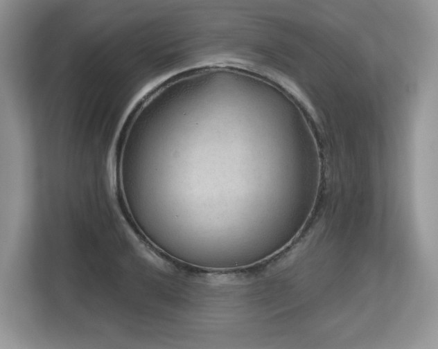 X0000112801032200908211129